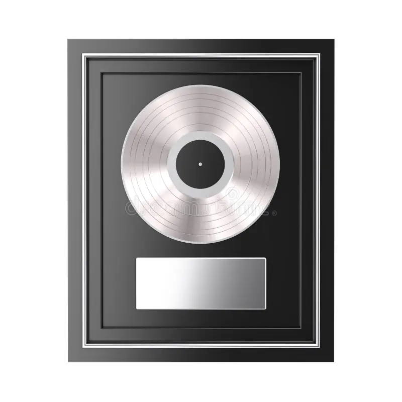 Platinum vinyl record award in black frame
